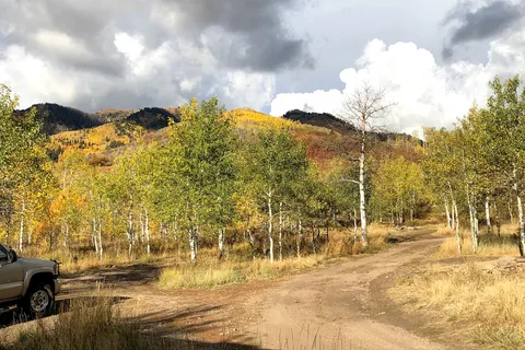 Little Deer Creek - Wasatch Mountain State Park