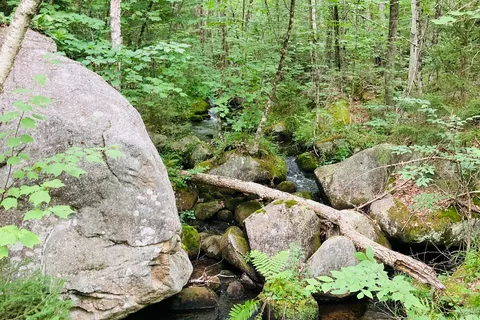 Big Deer State Park