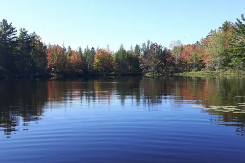 Wild Nature Campground