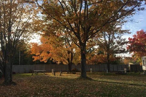 Anchor Inn Campground and Cabins