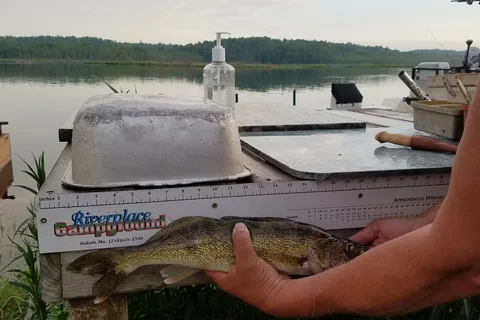 River Place Campground and Dockage