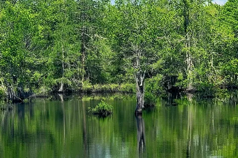 Laura S Walker State Park