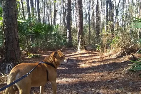 Laura S Walker State Park