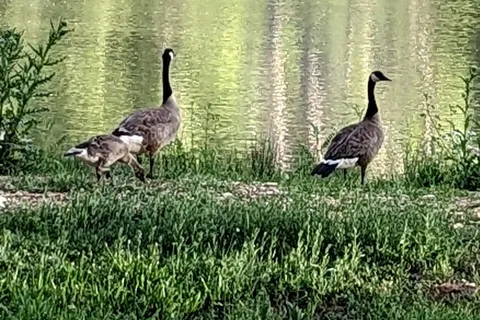 Dolores River RV Resort