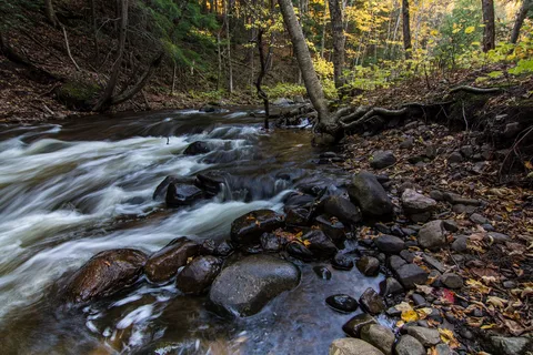 Rippling River Resort