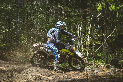 Tillamook State Forest - Lyda Camp