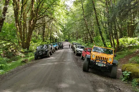 Tillamook State Forest - Lyda Camp