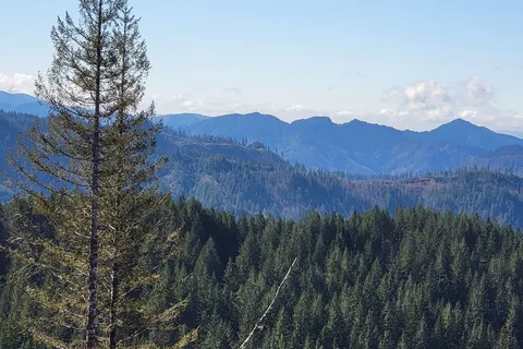 Tillamook State Forest - Lyda Camp