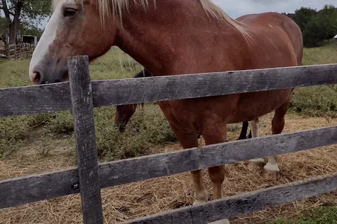 Skyline Ranch Resort