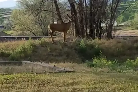 Valley Sunset RV Ranch LLC