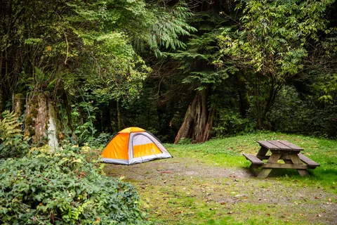 Mount Vernon RV Campground