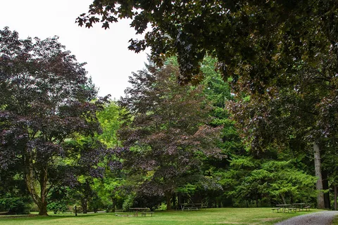 Mount Vernon RV Campground