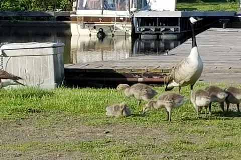 Spirit Lake Marina and RV