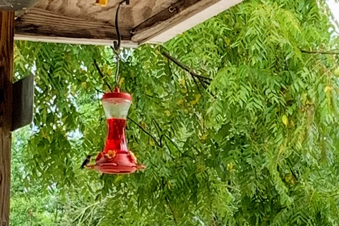 Big Red Barn RV Park