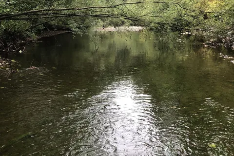 Quatse River Regional Park and Campground