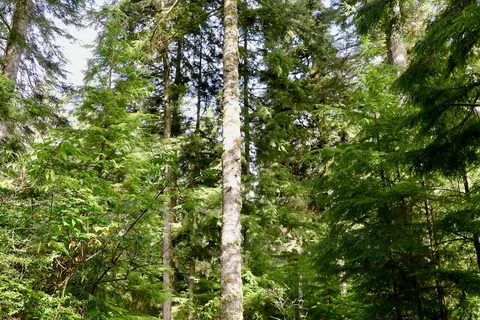 Quatse River Regional Park and Campground