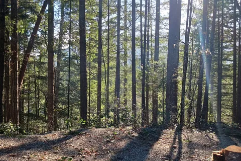 Chemainus River Campground