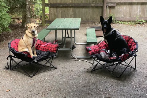 Chemainus River Campground