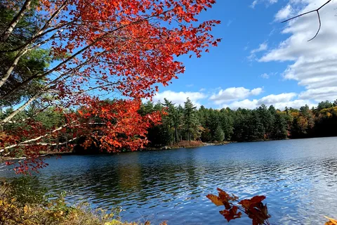 parc provincial Hardy Lake