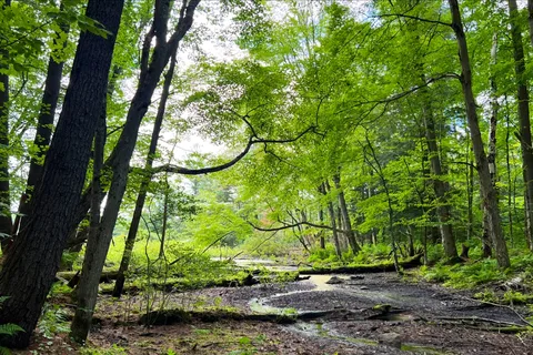 parc provincial Hardy Lake