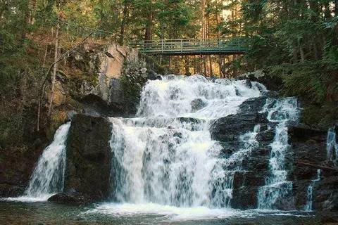 Springer Creek RV Park and Campground
