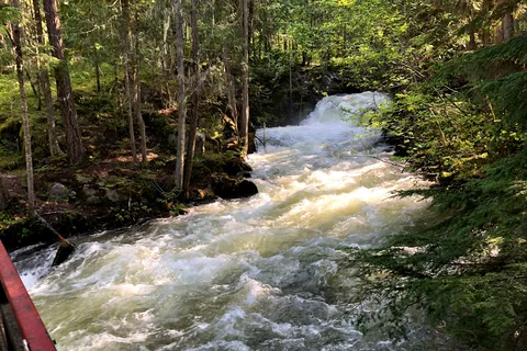 Springer Creek RV Park and Campground