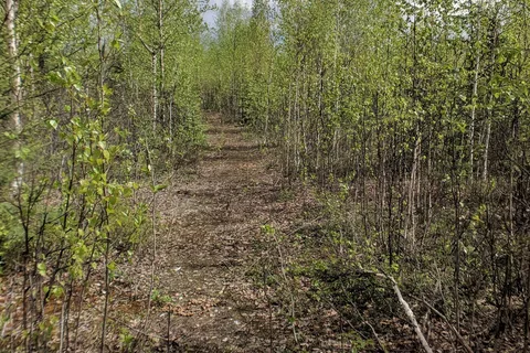 Harding Lake State Recreation Area