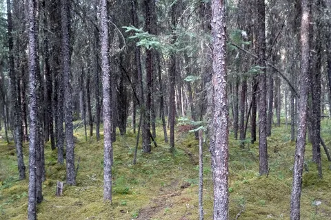 Harding Lake State Recreation Area