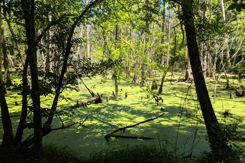 Isle of Wight Campground