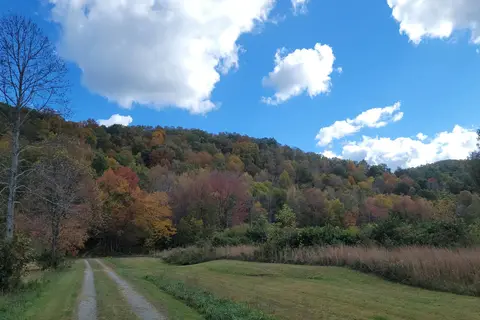 Hammer's Hideaway Campground