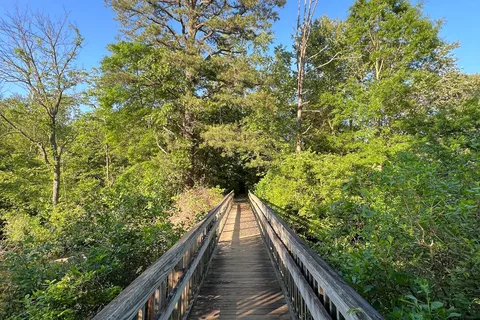 Parvin State Park
