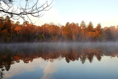 Parvin State Park