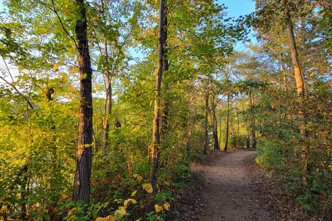 Parvin State Park