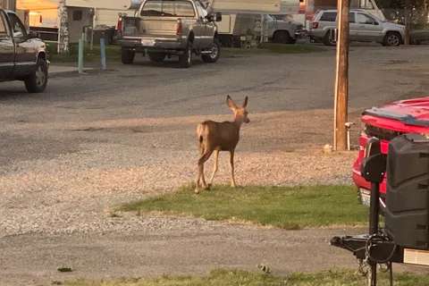 Kings Court RV Park