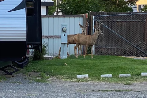 Kings Court RV Park