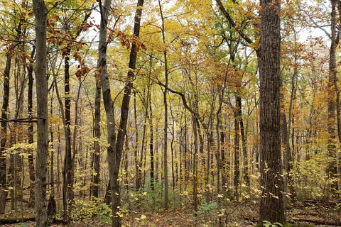 Scioto Trail State Park