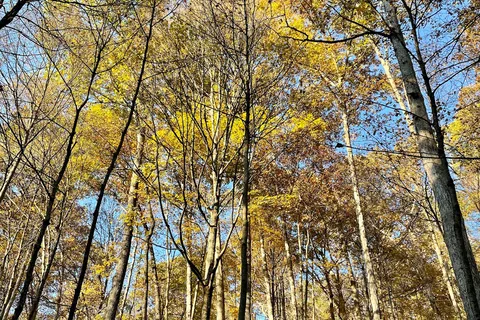 Scioto Trail State Park