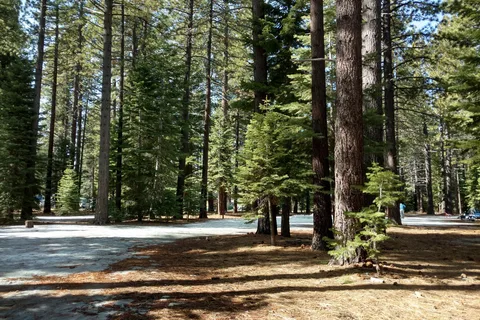 Tahoe Valley Campground