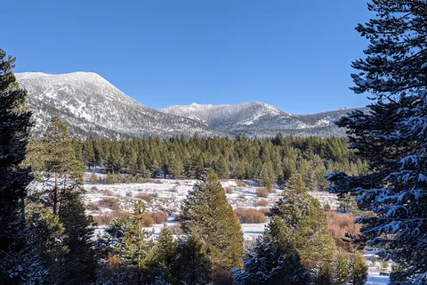 Tahoe Valley Campground