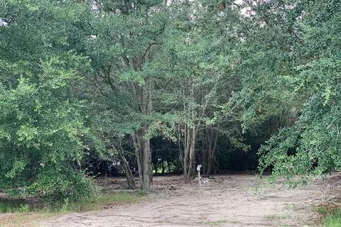 Dreamland Parks/Dreamland RV Park