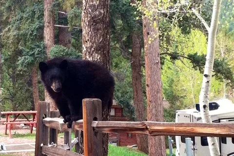 Woodland RV Park