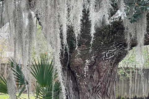 Bayou Black RV Park