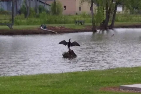 Bayou Black RV Park