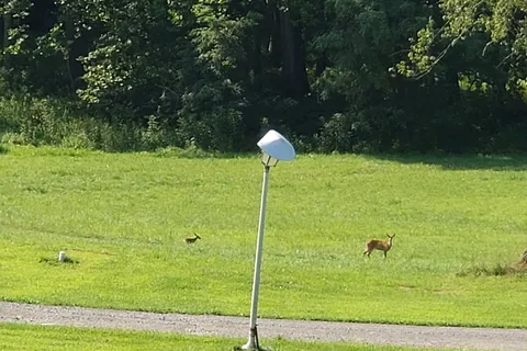 Indian Meadows Campground