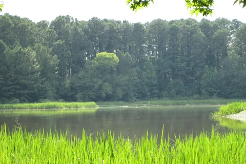Beyonder Getaway Wheeler Lake