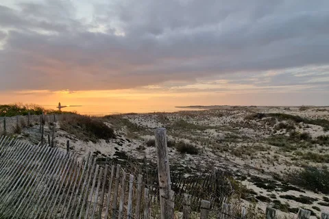 Cape Henlopen State Park