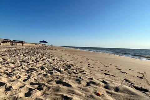 Cape Henlopen State Park