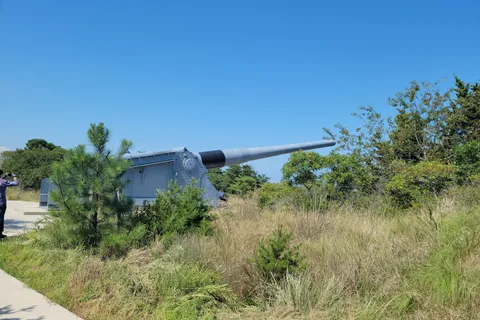 Cape Henlopen State Park