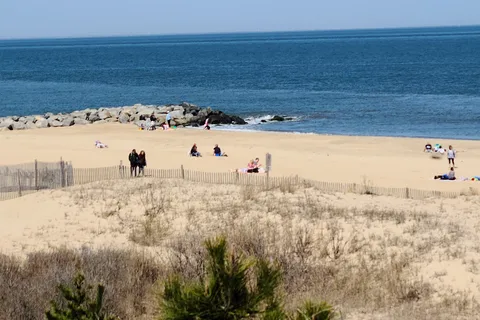 Cape Henlopen State Park