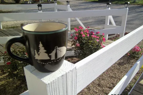 Lamplight Lane RV Resort at Glen Oaks
